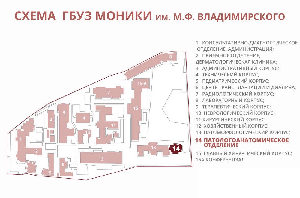 Моники на карте москвы